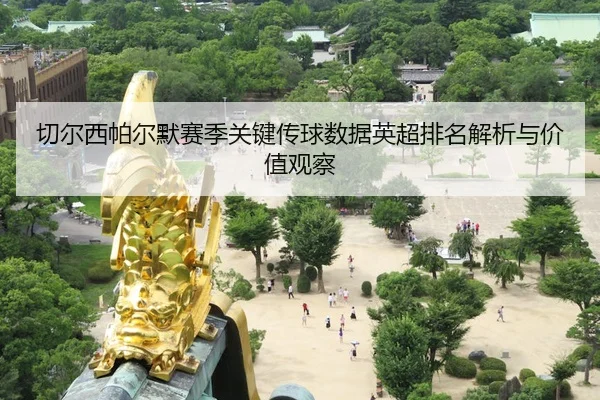 切尔西帕尔默赛季关键传球数据英超排名解析与价值观察